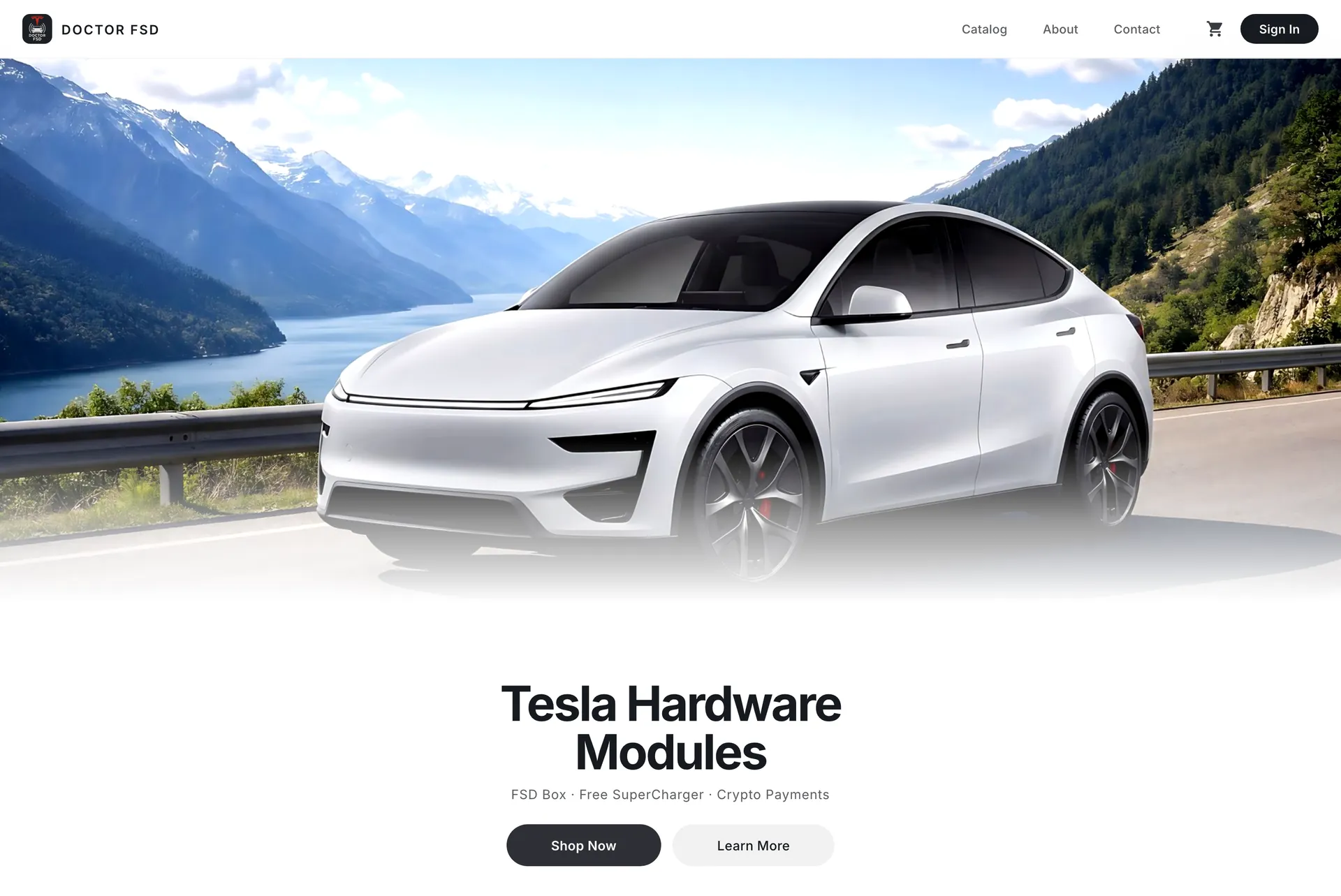 Главная doctorfsd.store: белая Tesla Model Y на горной дороге и заголовок «Tesla Hardware Modules»